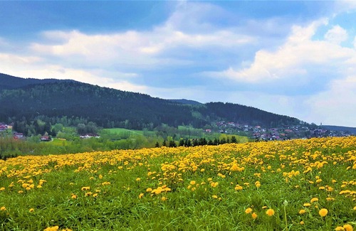 Arrach Apartment | Beautiful apartment for 4 people with WIFI, TV, patio and parking