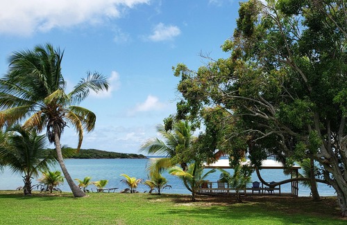Estate Montpellier East House | Beautiful Beach and Bioluminescent Bay !