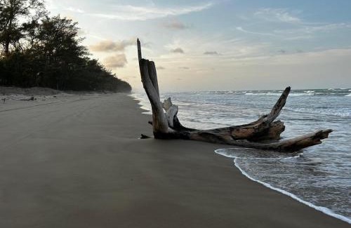Tuxpan House | Beautiful Beach House with Private Pool in Tuxpan - Colibrí