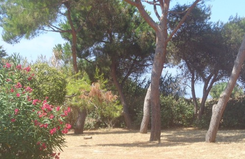 Calcatoggio Apartment | Beautiful beachfront apartment in Liscia