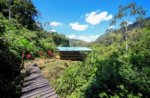 Tayutic Cabin | Beautiful Off-Grid Cabin in the Mountains