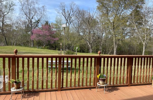 Deep Run House | Beautiful Creek-front Cabin convenient to Greenville and Kinston