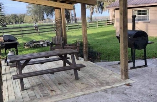 Alachua House | Beautiful farmhouse on acreage! Interact with the horses, enjoy the country!