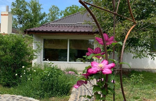 Snagov House | Beautiful fully furnished 2 Bdrm Villa with Pool, Snagov Bucharest Romania