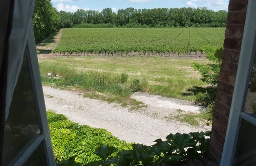 Douzens House | Beautiful gite with pool in ancient wine domaine