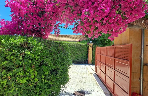 Pylos-Nestoras House | Beautiful holiday house in the country with terrace | Messenia, Peloponnese
