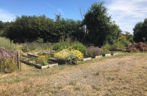 Saint-Lunaire House | Beautiful house, quiet location 400 m from the beach