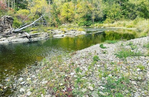 Angelica Cabin | Beautiful Hunter Log Cabin on 5 Acre Lot