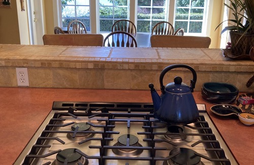 Silver Beach House | Beautiful lake-view home. Gourmet kitchen, comfortable inside and out.