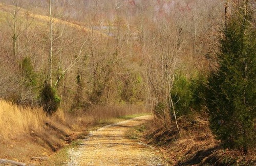 Blackford Bed & Breakfast | Beautiful Lodge with spectacular views in Western Kentucky