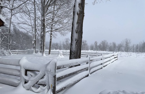 Lawrence Cabin | Beautiful log cabin with all the creature comforts of home. Private fishing lake