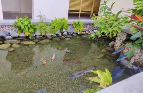 Portmore Apartment | Beautiful One bedroom apartment with beach and swimming pool