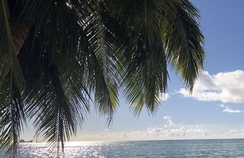 San Roque Apartment | Beautiful One- Bedroom Unit across PauPau Beach
