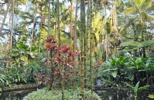Keaau House | Beautiful Paradise Park Hale