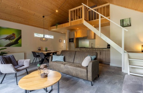 Bosgebied Hoenderloo House | Beautiful private villa for 4 people with A/C, WIFI, pool, TV, terrace, pets allowed and parking