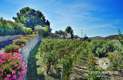 Magomadas Villa | Beautiful property surrounded by greenery with a 15x7 m swimming pool