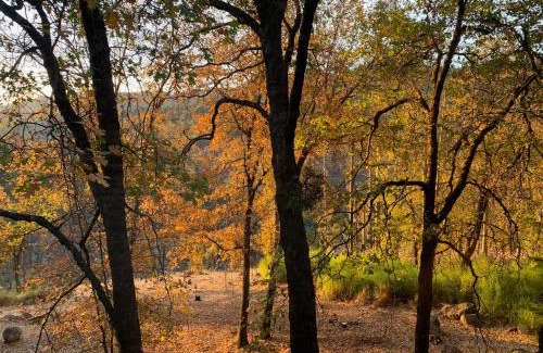 Middletown House | Beautiful Quiet Mountain Getaway, Amazing Views