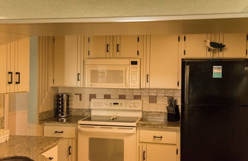 Daytona Beach Shores Condo | Beautiful, Recently updated Condo! - GORGEOUS Ocean Views!