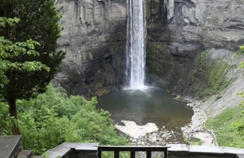 South Hill Apartment | Beautiful space near hiking, wineries, Ithaca Commons, Cornell and IC!