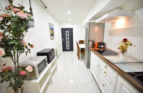 Asterstein Apartment | Beautiful, spacious basement with Japanese garden -Parking spot