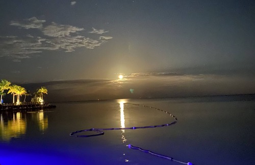 Venetian Shores House | Beautiful, Spacious, Single Story Home - Islamorada