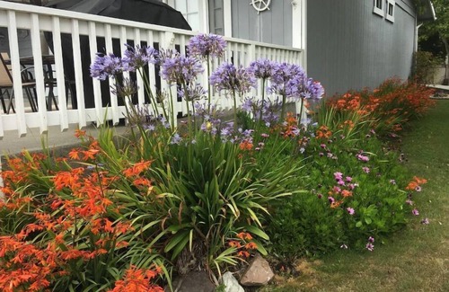 Brookings House | Beautiful, spotlessly clean Cottage by the sea