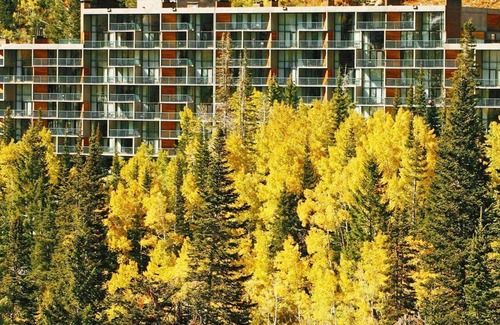 Sandy Apartment | Beautiful studio unit at resort, sleeps 4