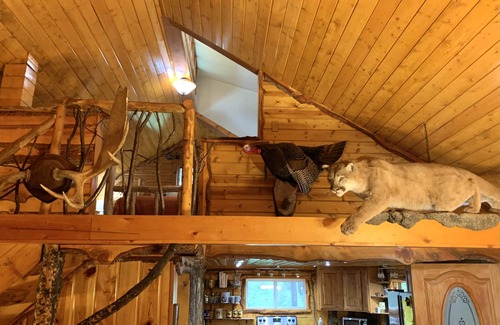 Rustic Cabin | Beautiful, Updated Log Cabin on the Poudre River