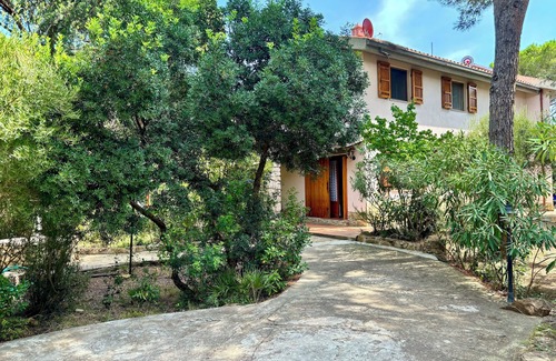 Cala Liberotto Villa | Beautiful villa in a pine-wood 150 m from a white sandy beach