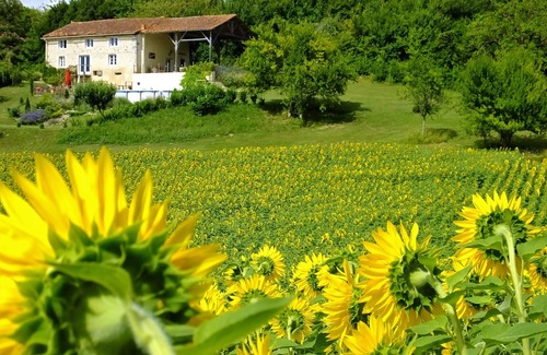 Montmoreau-Saint-Cybard Villa | Beautifully converted barn In peaceful and stunning location with private pool.