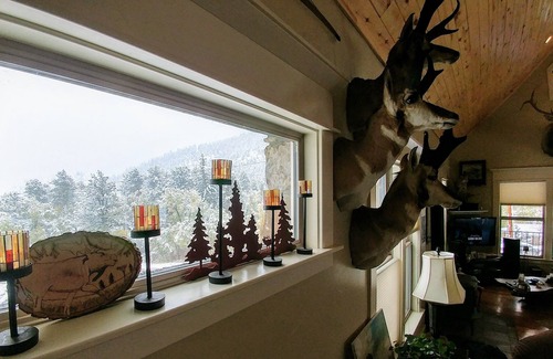 Rustic House | Beautifully Wild Inside & Out. Year-Round Wonderment, Adventure & Peace 21-Z3031