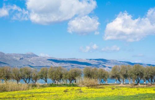 Tavronitis Villa | Beauty Villa Irene, Coast 60m