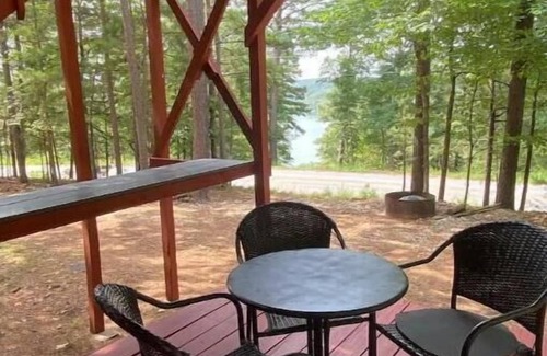 Rogers House | Beaver Lake Geodesic Dome Home, with lake view