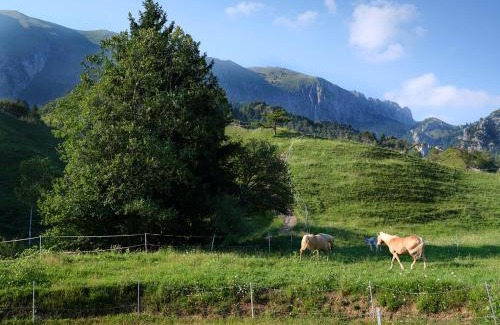 Castione della Presolana Bed & Breakfast | BeB CasaCuore Presolana
