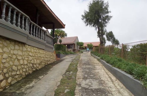 Ngadisari Bed & Breakfast | Bed and breakfast at Cemara Indah, Bromo