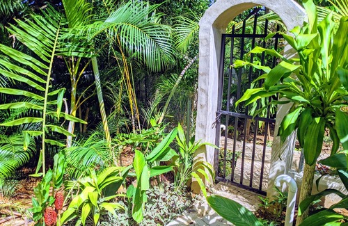 La Iglesia House | Bed And Breakfast Cabin In Cool Junglee Retreat