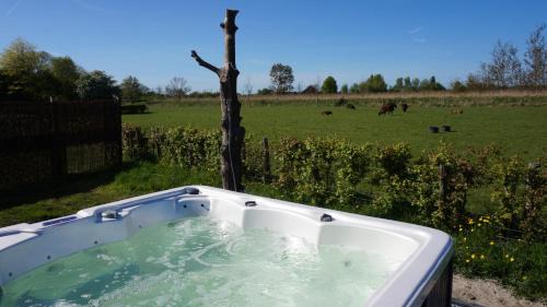 Waarland Bed & Breakfast | Bed and Breakfast Het schapenlandje