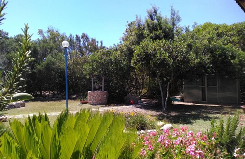 San Vero Milis Apartment | Bed & Breakfast "Angolo Azzurro"