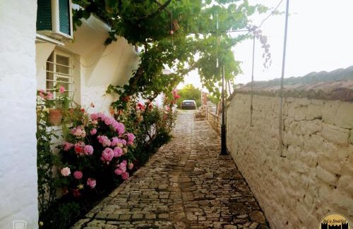 Berat House | Bed & Breakfast JOSIPH