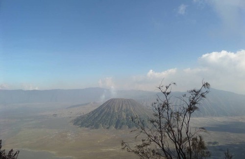 Tengger Caldera Bed & Breakfast | Bedroom for 4 person view direct to Mt. Bromo