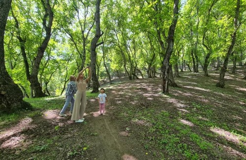 Kyrgyzstan Bed & Breakfast | Beekeeper's Hause