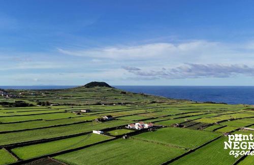 Altares House | Beer House by PontaNegraAzores