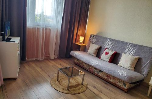 Besse-et-Saint-Anastaise Apartment | Bel appartement spacieux 44m² à SUPER BESSE pour 6 personnes