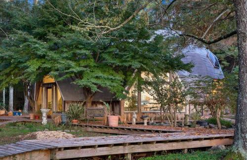 Normal House | Bell Circle Eccentric Geodesic Dome-Home