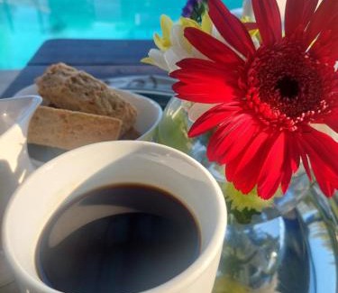 Potchefstroom Bed & Breakfast | Bella Rosa