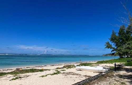 Candos Apartment | Belle Mare 3 bedroom Luxury villa 6 on a blue ocean
