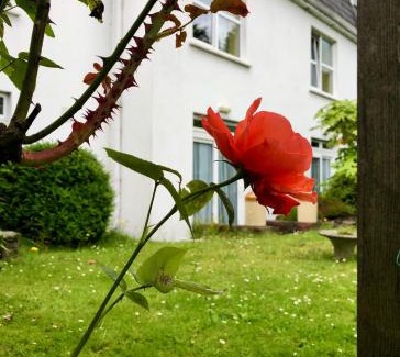 Cork House | Belvedere Lodge
