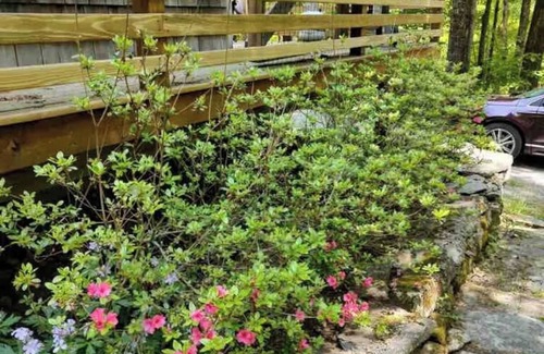 Otis Cottage | Berkshires Cottage + Trails & Water Nearby