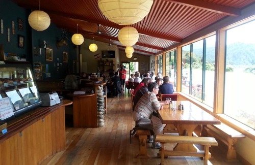 Buller District Hostel | Berlins cafe, bar and backpackers
