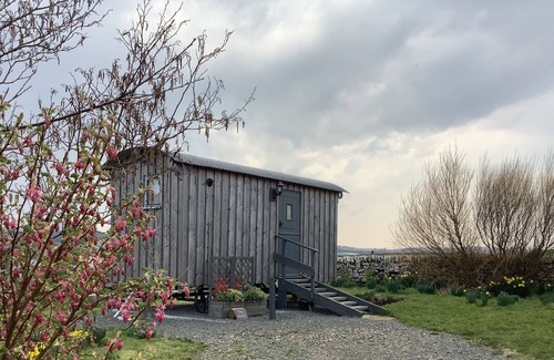 Dunbeath Cabin | Bespoke hand built Shepherds Hut in Dunbeath.